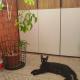 review photo № 8