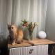 review preview photo № 1