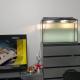 review photo № 0