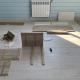 review photo № 5