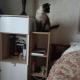 review photo № 5