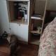 review photo № 6