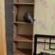 review preview photo № 0